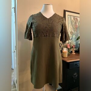 Ann Taylor Olive Lace Dress